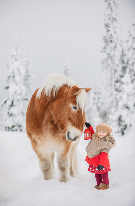 ponikerho pudasjärvi
lasten ratsastus pudasjärvi