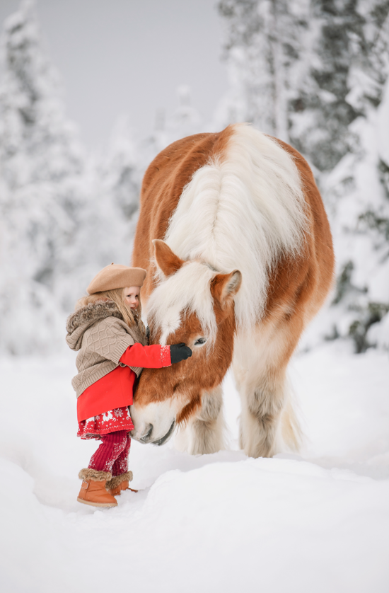 Sosiaalipedagoginen hevostoiminta