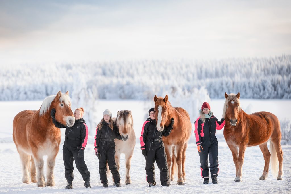 pudasjärvi ratsastus