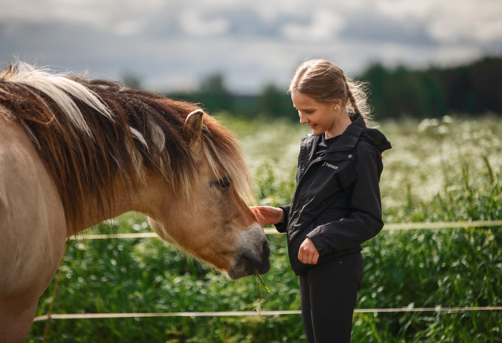 maastakäsittely pudasjärvi