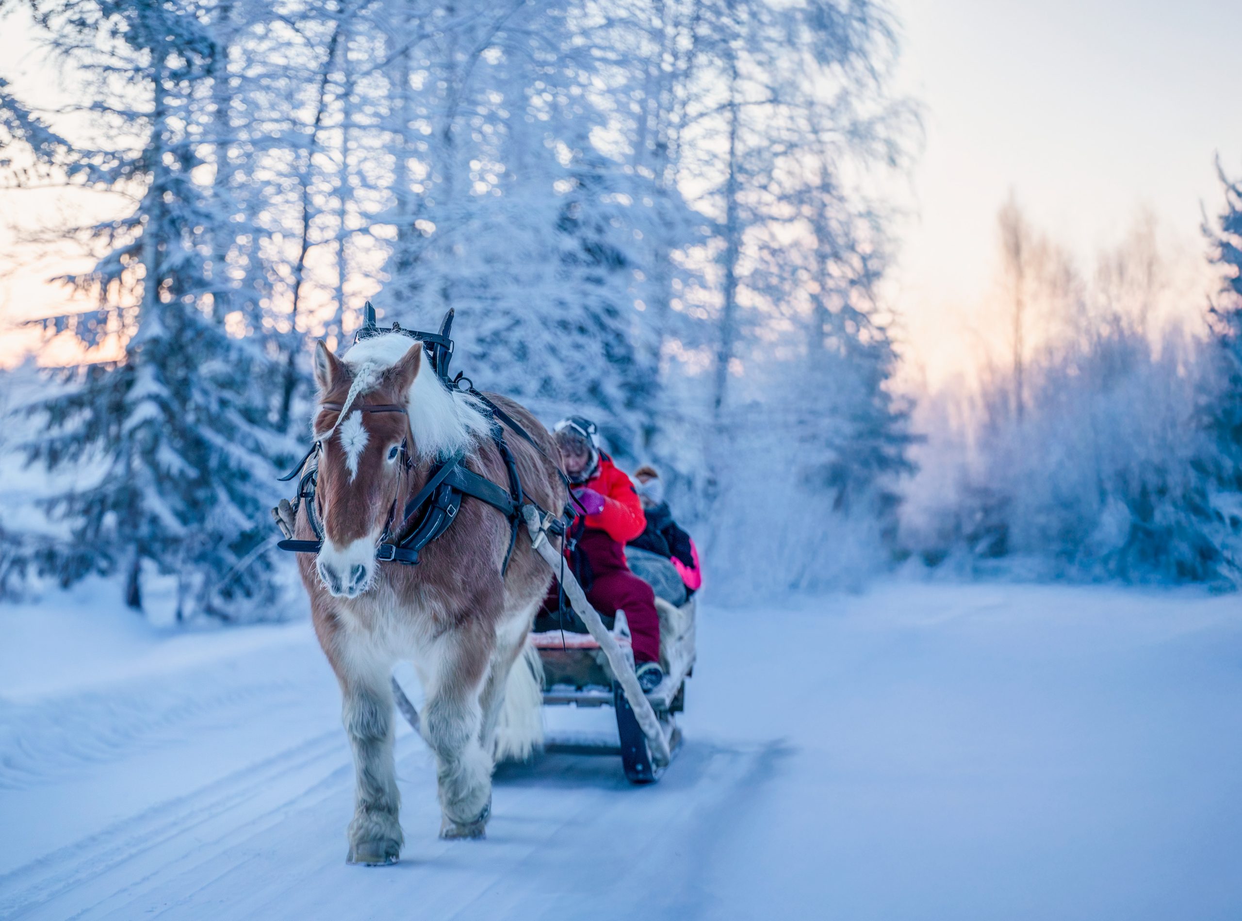 elämykset ja retket pudasjärvellä