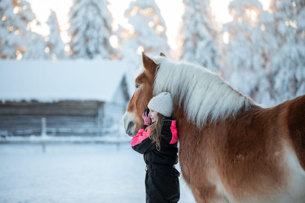 lasten ratsastus pudasjärvi