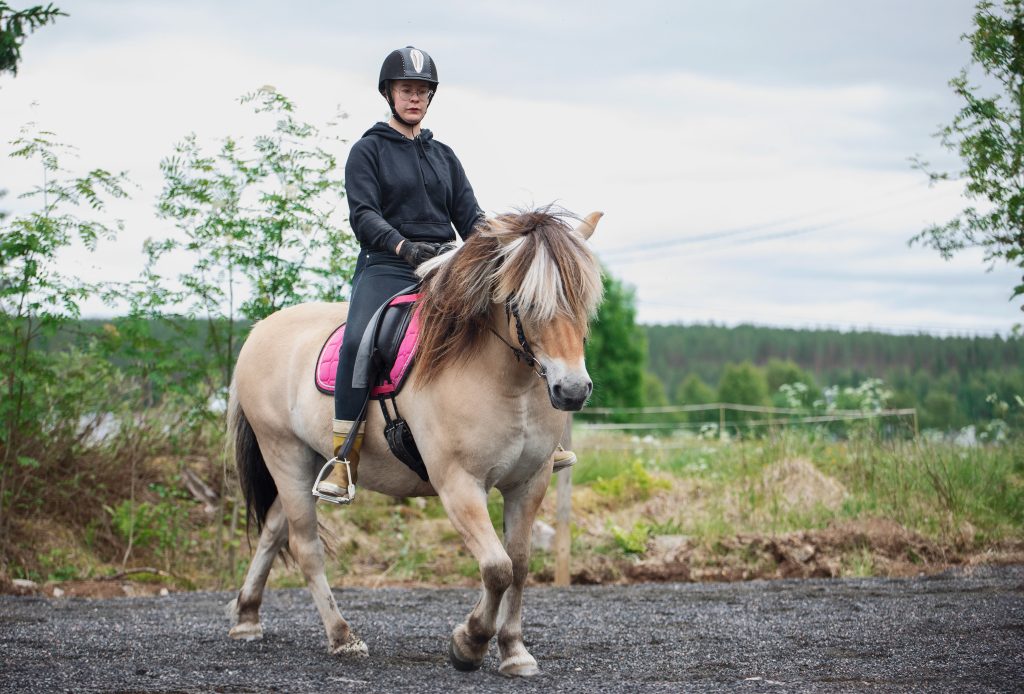 yksityiset ratsastustunnit pudasjärvellä